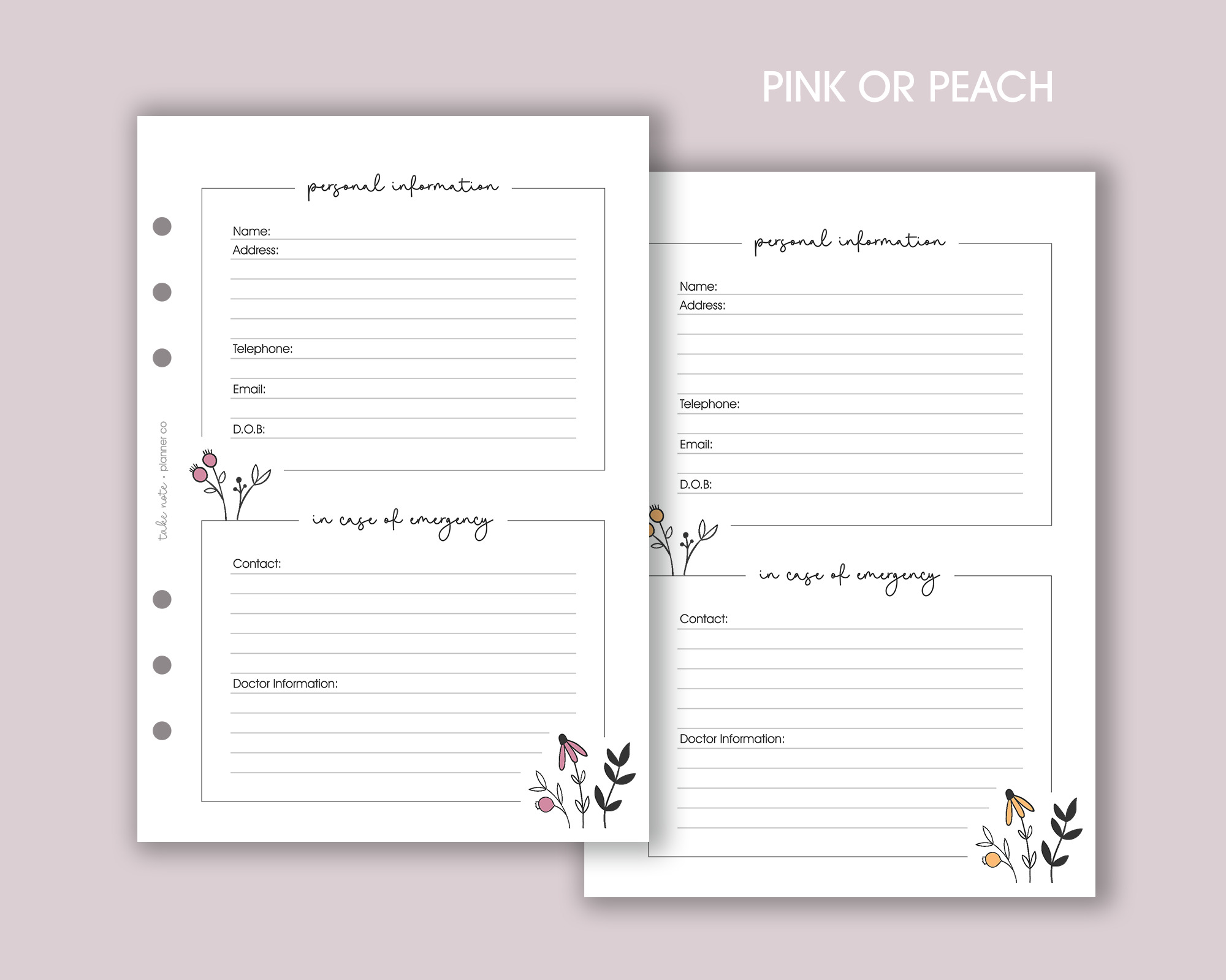 Personal Information Insert <!---daisy-->