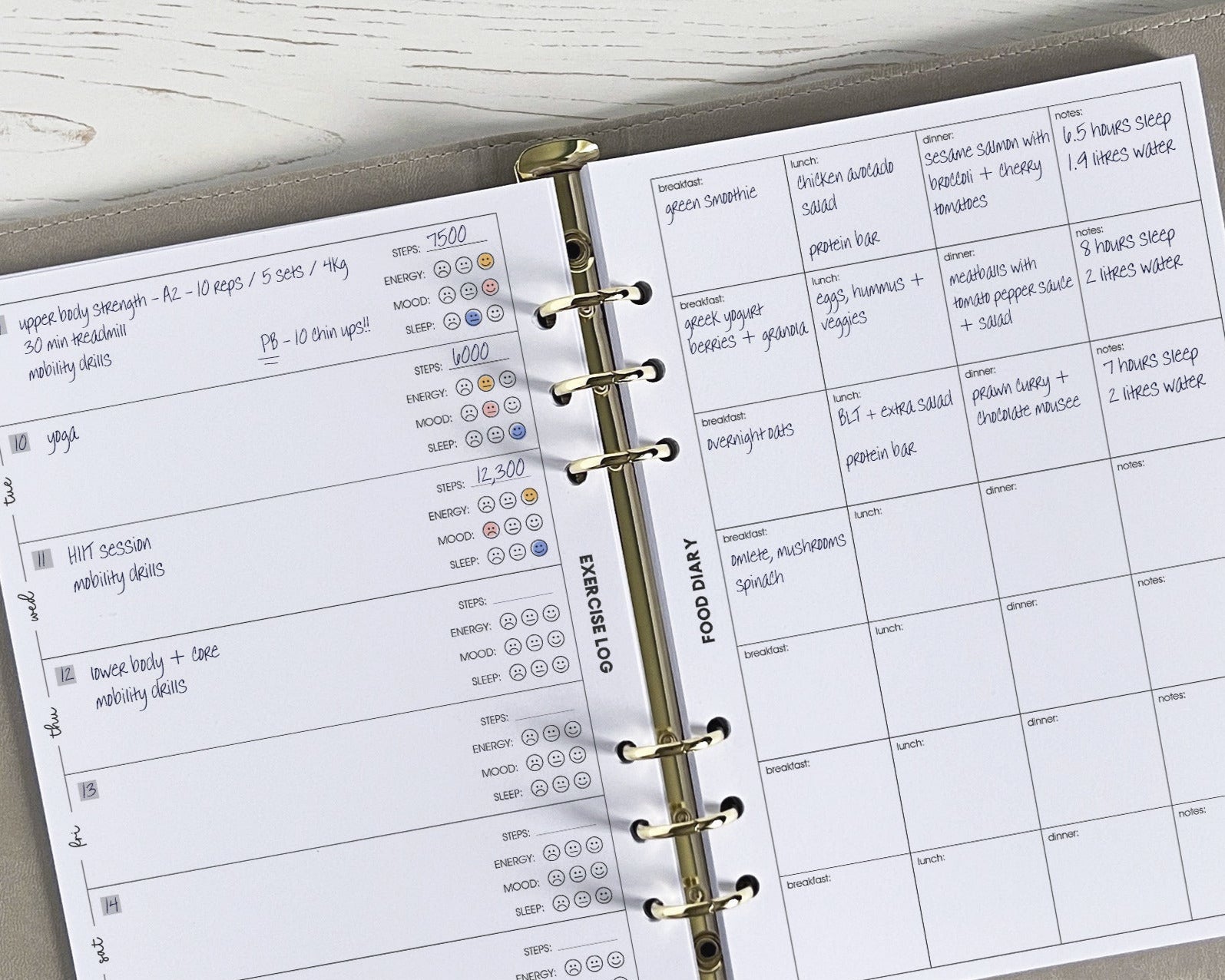 Exercise & Food Log Inserts (12 week) <!---opt1-->