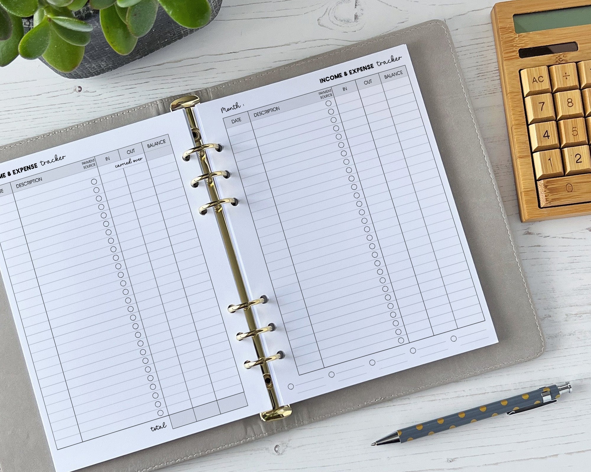 Monthly Income & Expense Inserts <!---expenses2-->