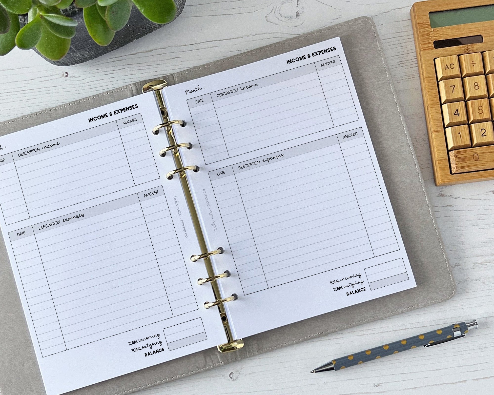 Monthly Income & Expense Inserts <!---expenses3-->