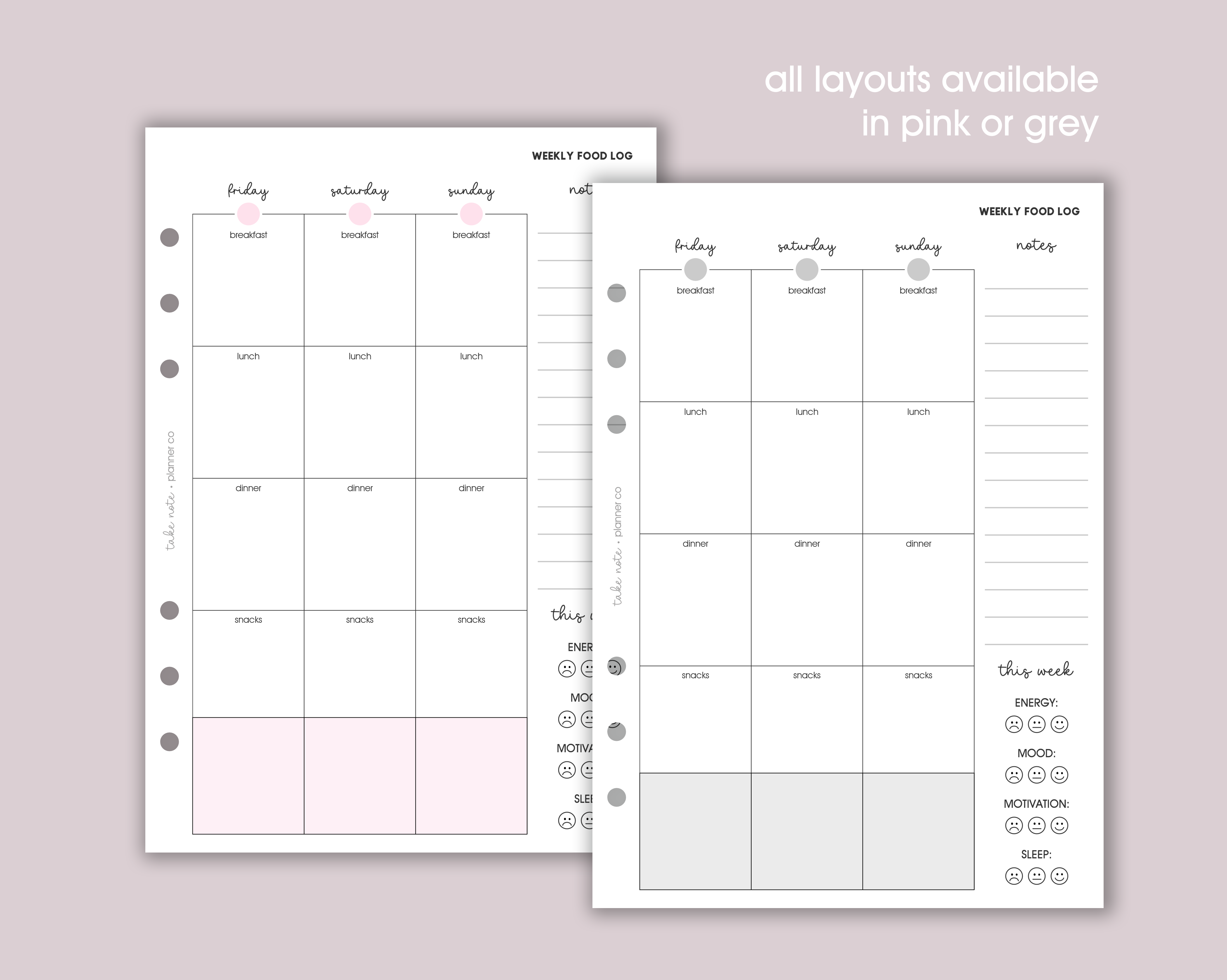 Food Log Inserts (12 week)