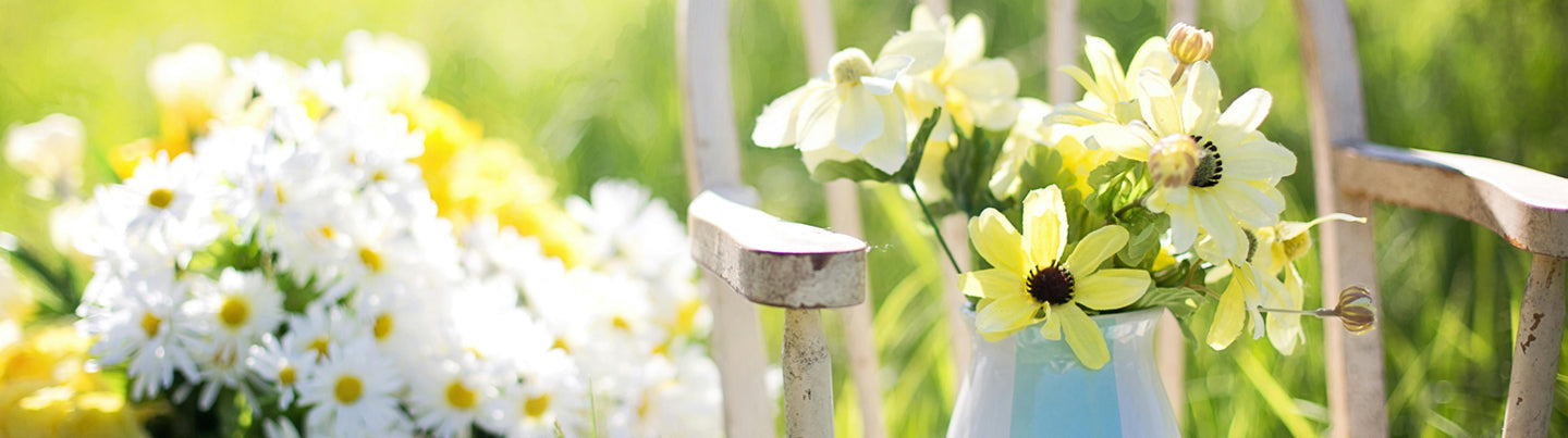 spring reset: why March is the perfect time to start fresh
