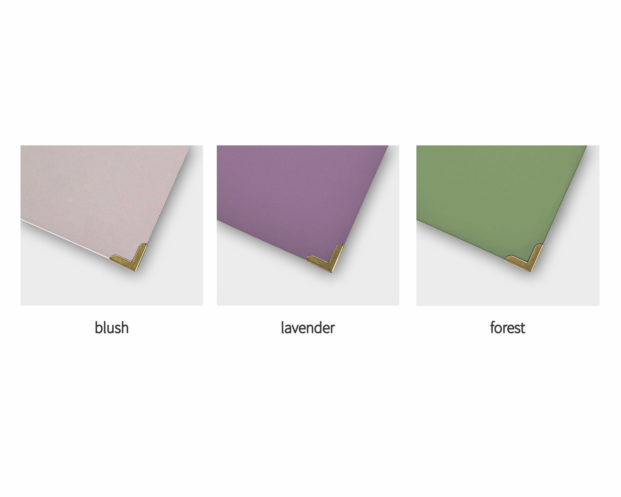RINGBINDER | Colouful Floral Spine