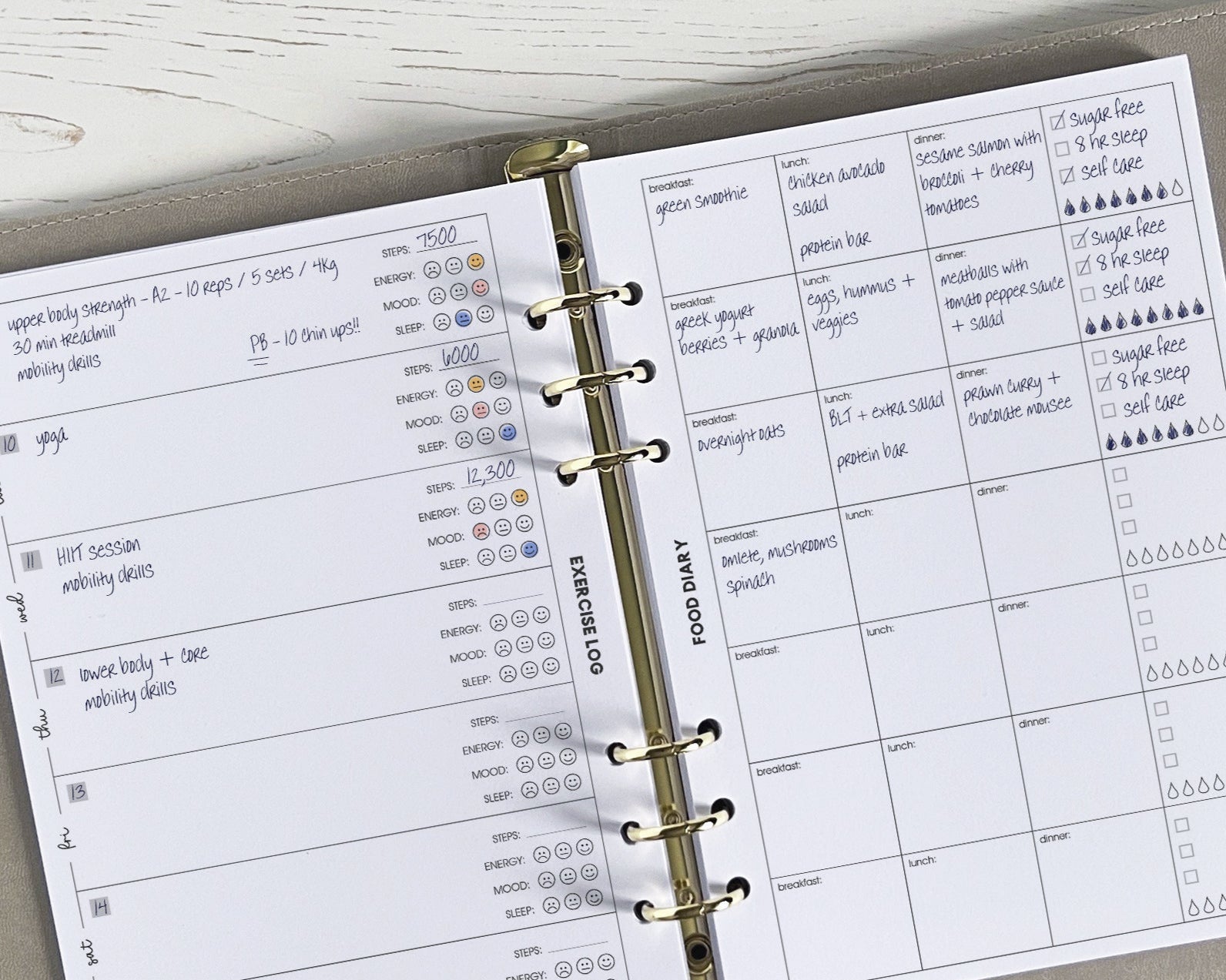 Exercise & Food Log Inserts (12 week) <!---opt2-->