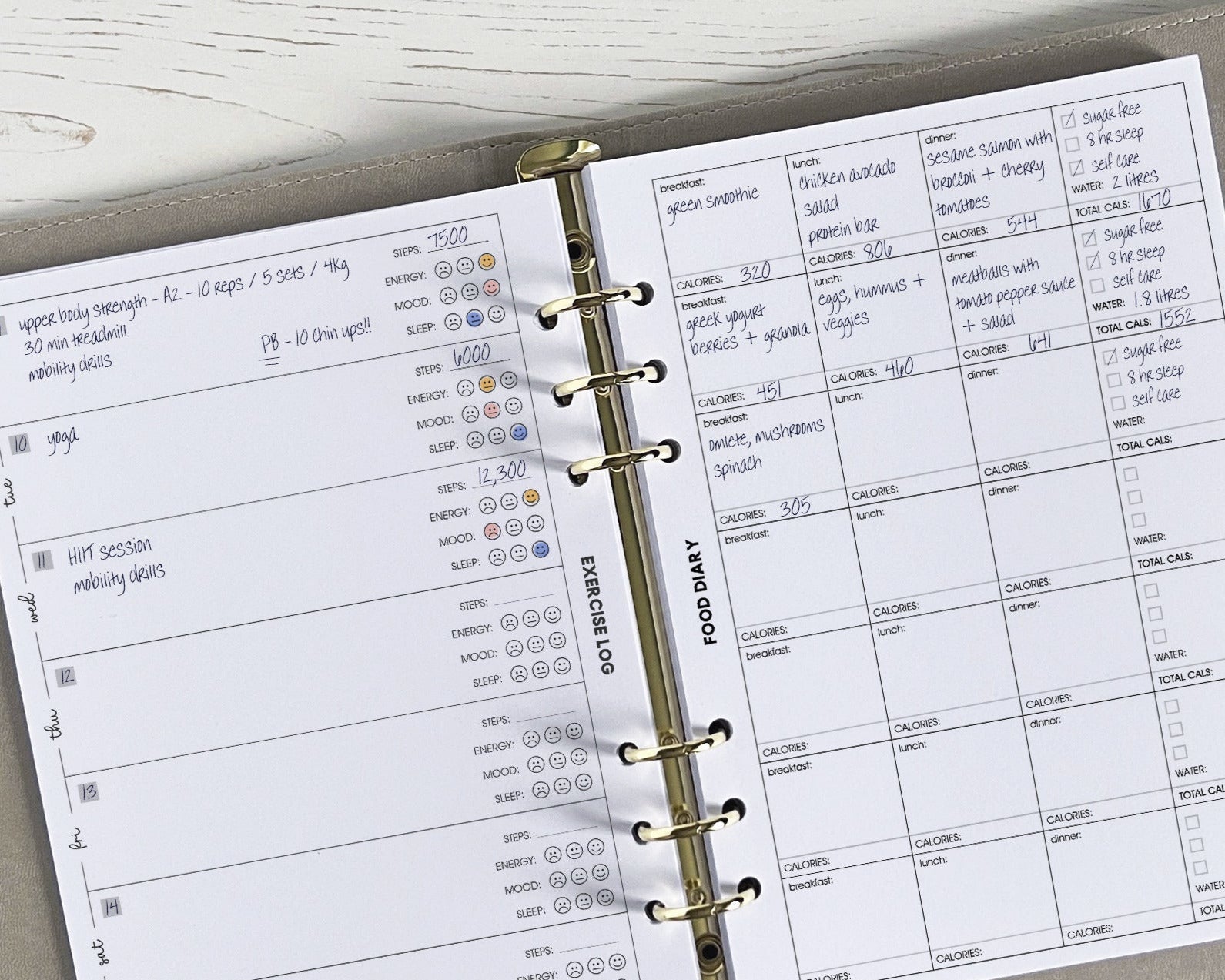 Exercise & Food Log Inserts (12 month) <!---opt4-->